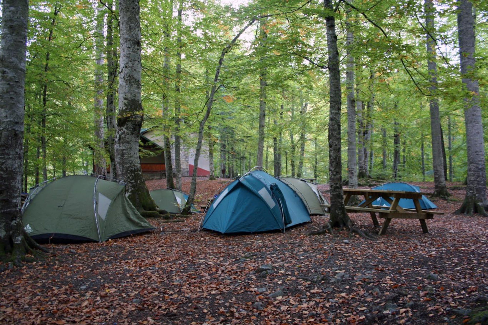 Tatilci akını belediye başkanını isyan ettirdi: Artık gelmeyin, şehir çadır kente döndü