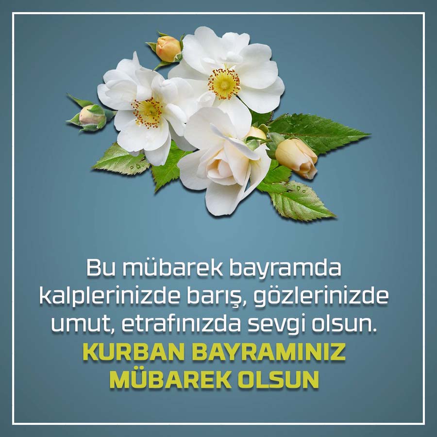 2022 Kurban Bayramı kutlama mesajları kısa, öz, dini| Facebook, Whatsapp Kurban Bayramı resimli mesajlar