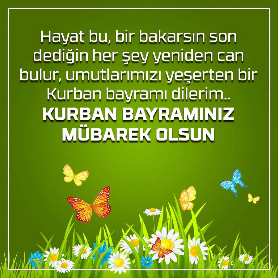 2022 Kurban Bayramı kutlama mesajları kısa, öz, dini| Facebook, Whatsapp Kurban Bayramı resimli mesajlar
