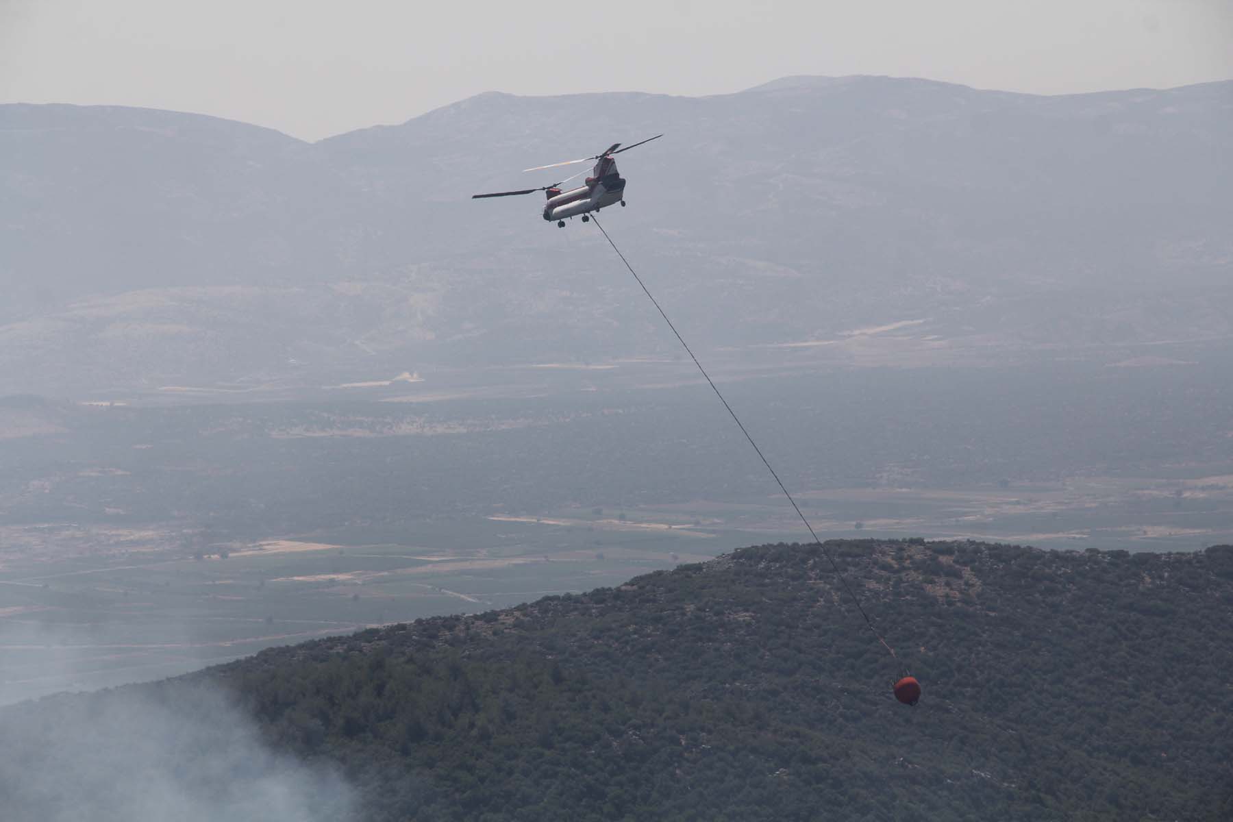 Son dakika | Bakan Pakdemirli açıkladı! Hatay ve Mersin'deki orman yangınları hakkında flaş gelişme 