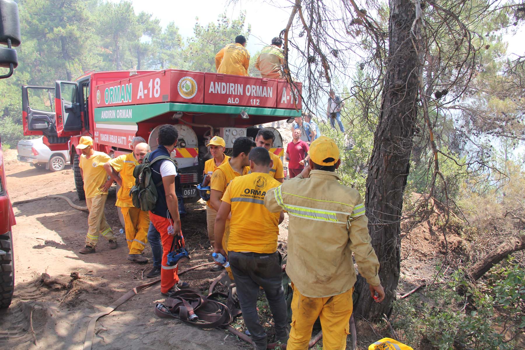 Son dakika | Bakan Pakdemirli açıkladı! Hatay ve Mersin'deki orman yangınları hakkında flaş gelişme 