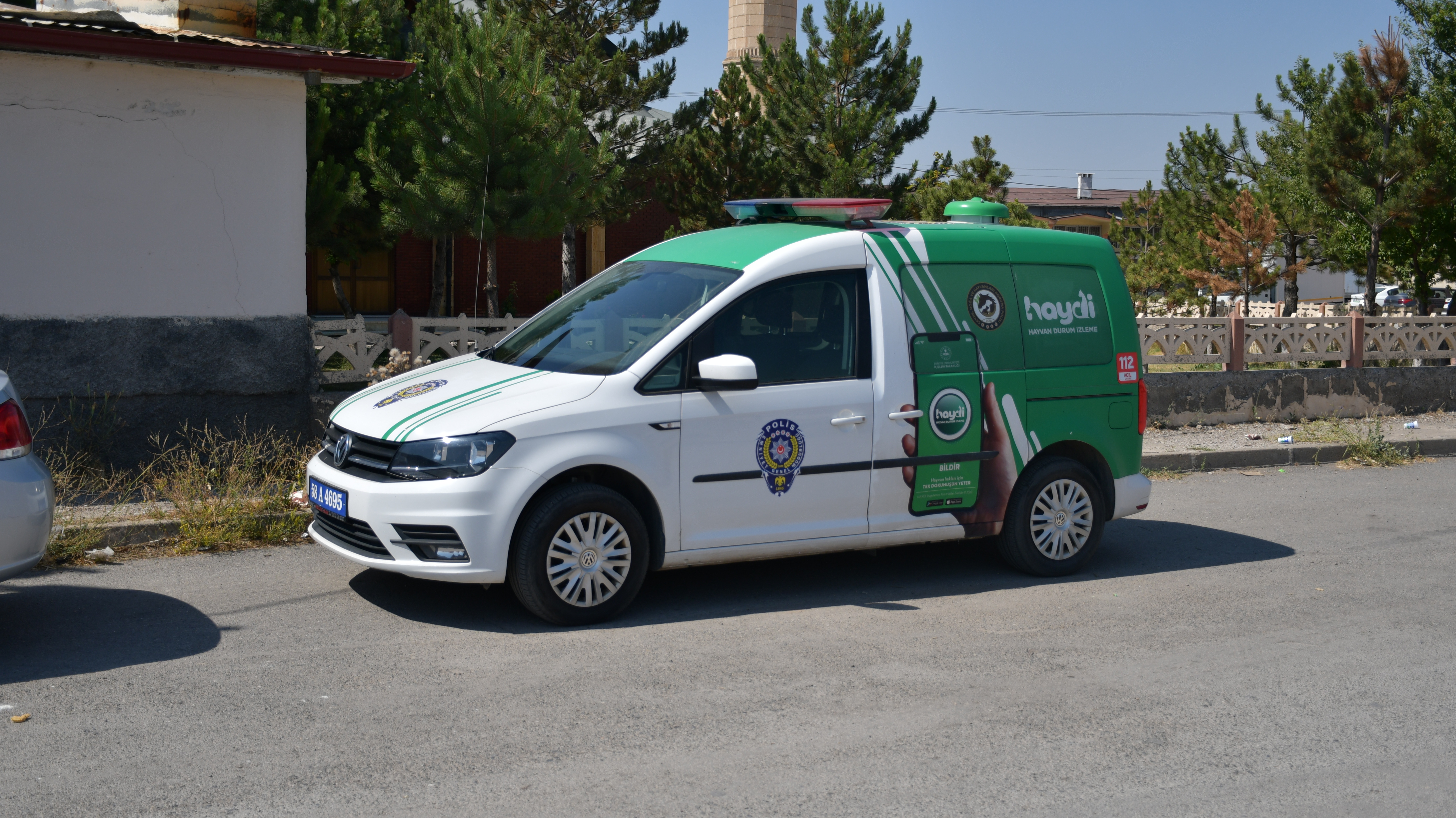 Resmen vahşet! Hayvan cinayetleri bitmiyor! Bir köpek av tüfeğiyle öldürülmüş bulundu