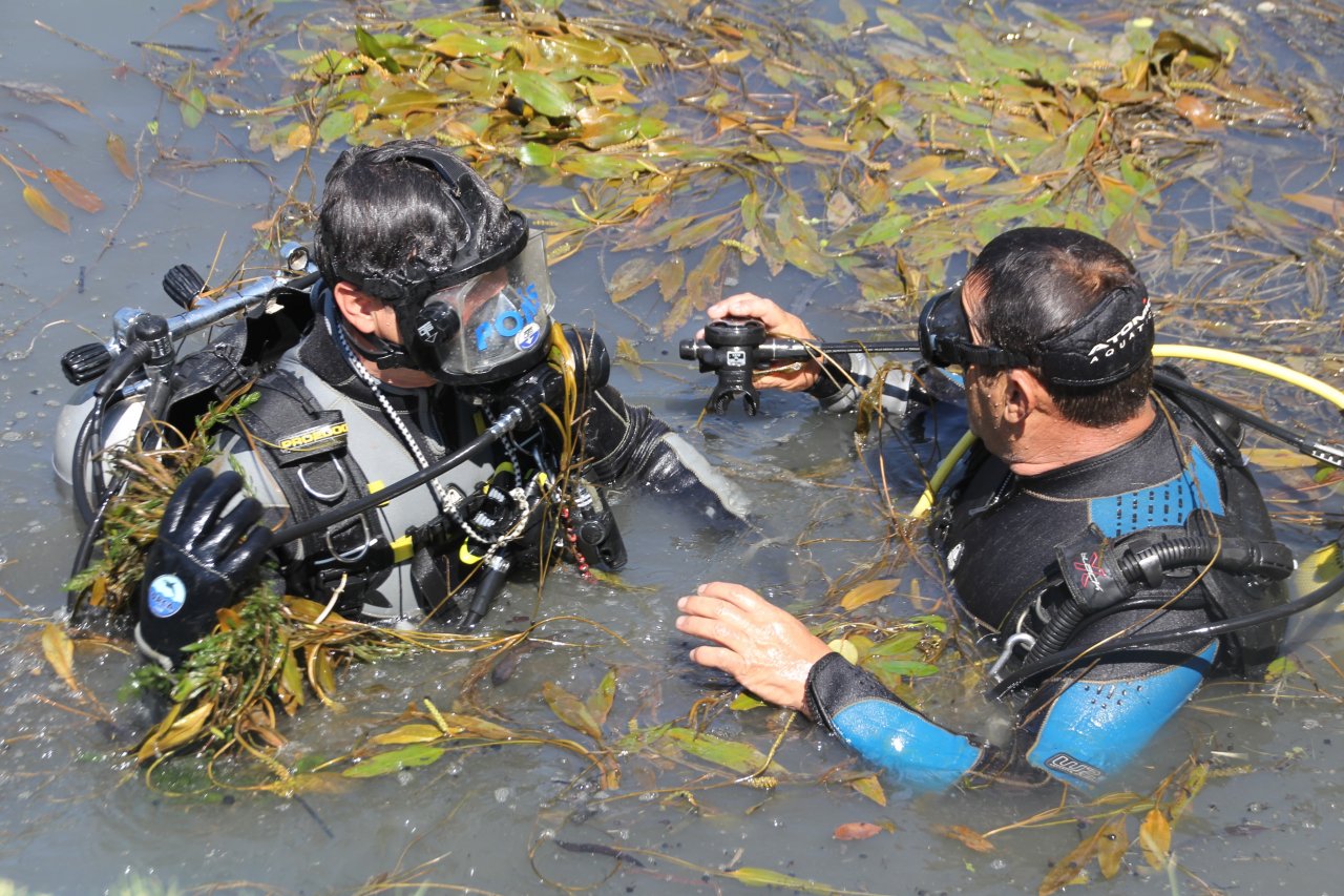 Endişeli bekleyiş sürüyor! Kayıp 2 yaşındaki Ecrin bebek her yerde aranıyor