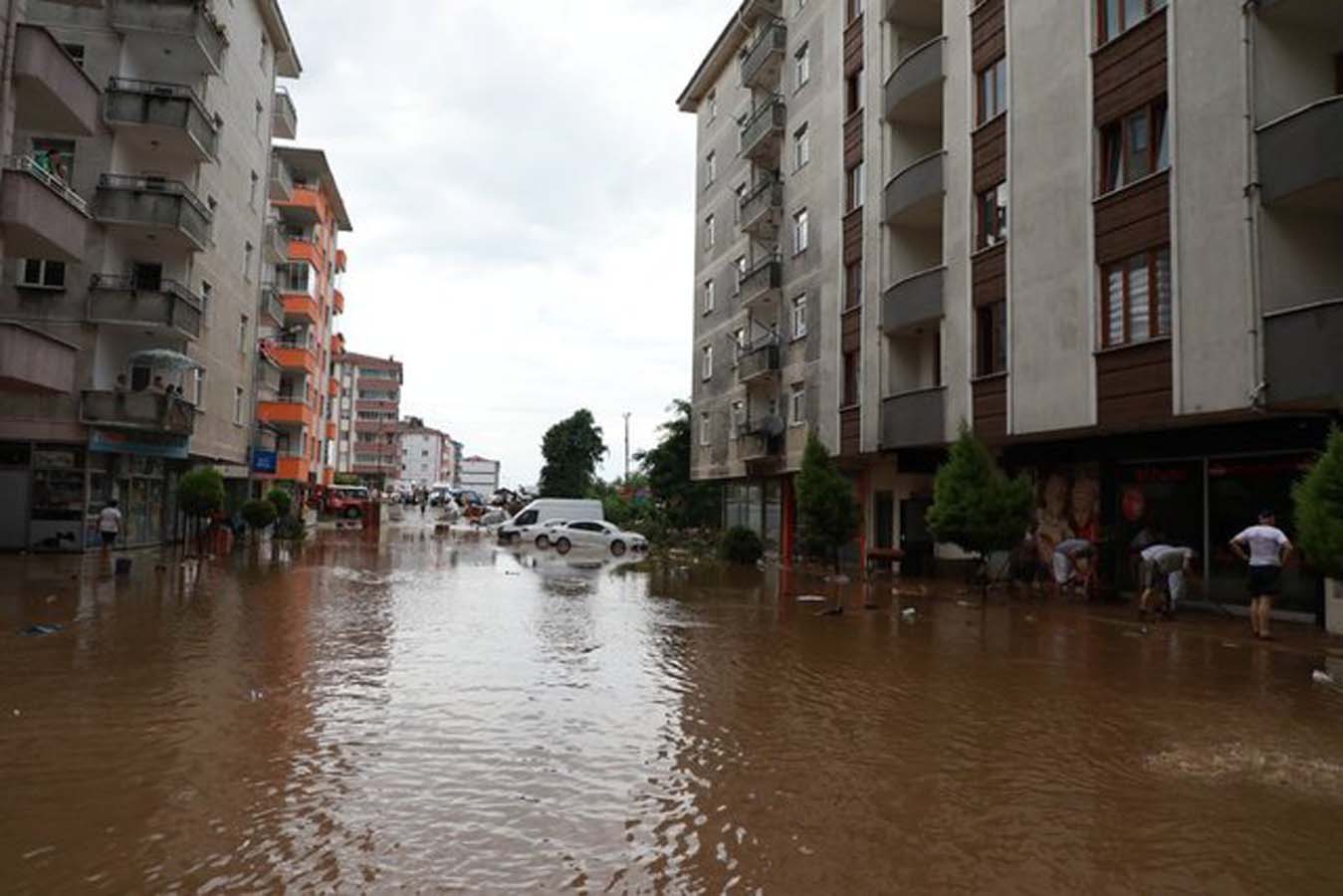 Artvin'i sel terketti, kalıntıları kaldı: 430 ev ve iş yerini su bastı, 1 kişi kayıp!