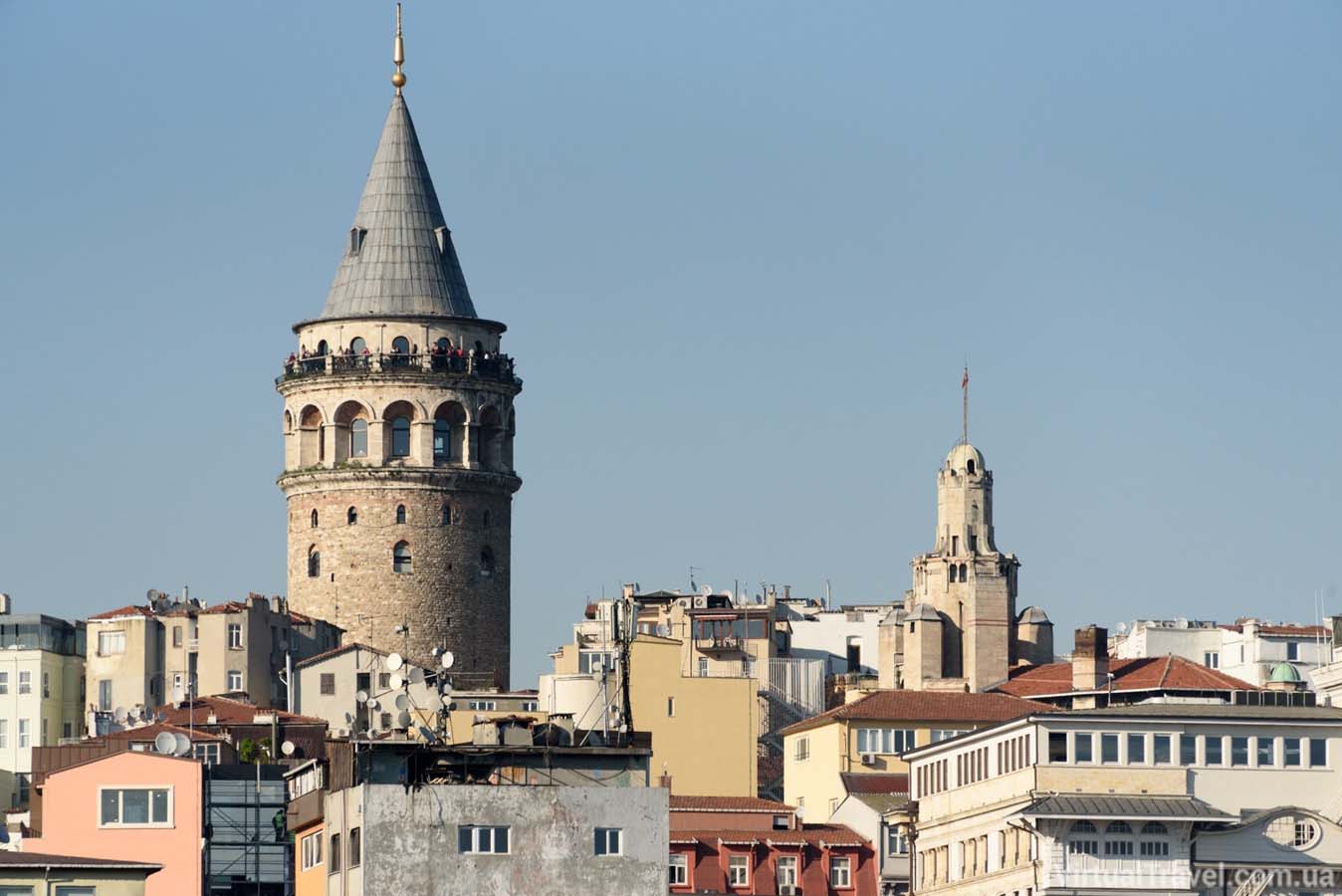 Beyoğlu'nda yılan sürüsü paniği! Mahalleli evlerine adım atamıyor