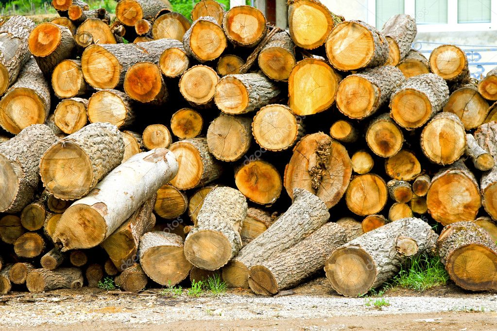 Odun toplamak için ormana gitti bir daha haber alınmadı! Gülefer Boynukısadan 3 gündür iz yok