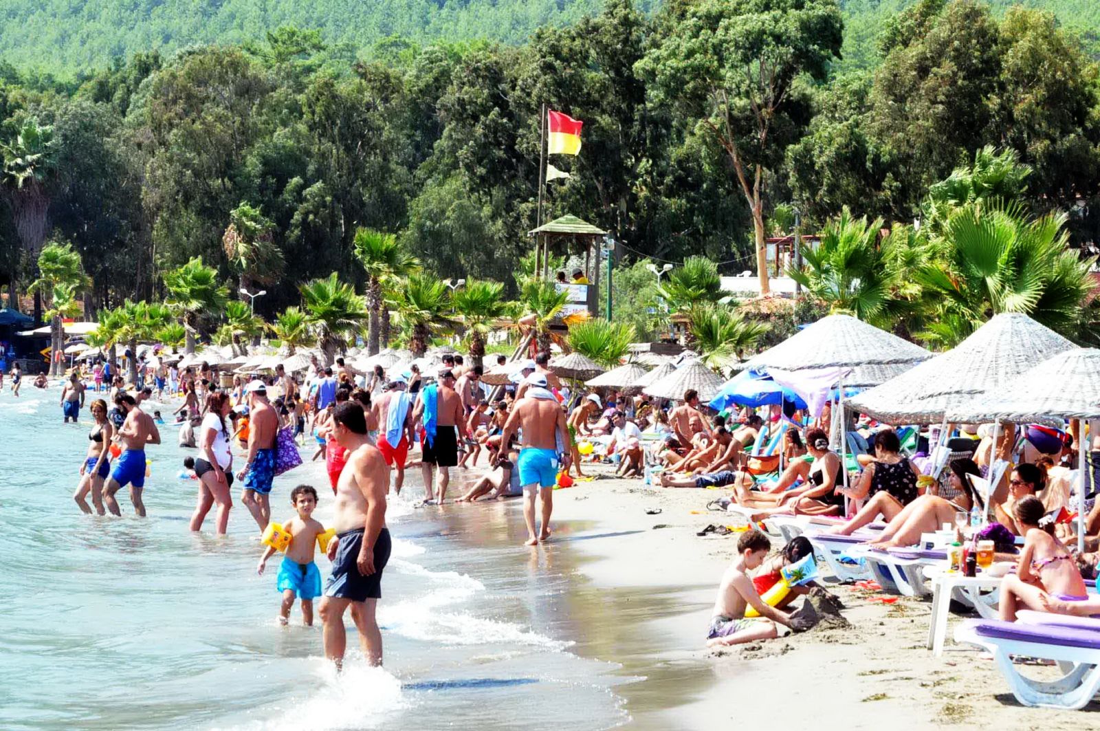 Prof. Dr. Mehmet Ceyhan: Ruslara çok kolaylıklar sağladık, bu temasların etkisi henüz görülmedi!