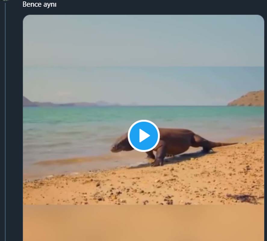 Can Yaman'dan güç gösterisi! Yaptığı ilginç sporla sosyal medya kullanıcılarının diline düştü! İşte o yorumlar...