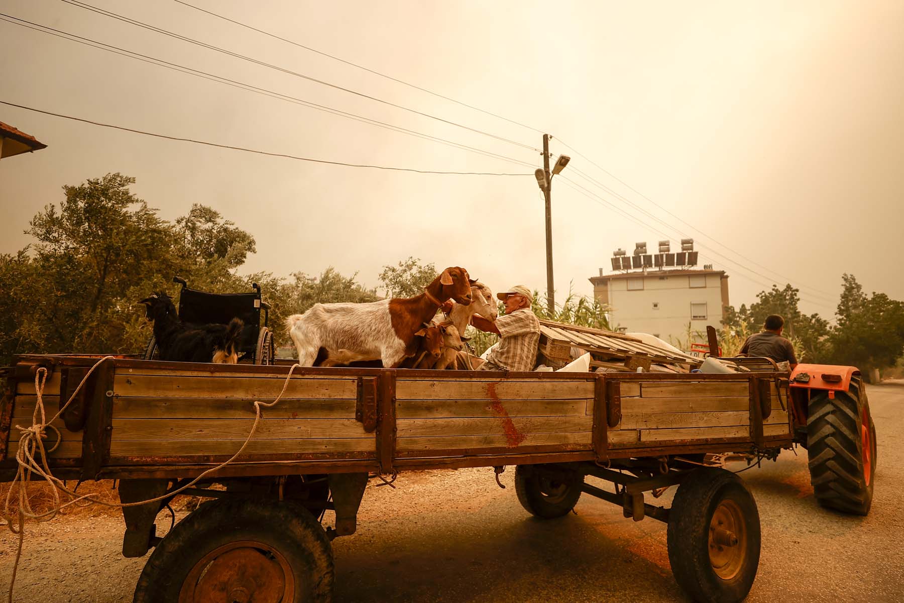 Son dakika | Antalya Manavgat'ta orman yangını! Evler boşaltıldı, ekipler canla başla müdahale ediyor