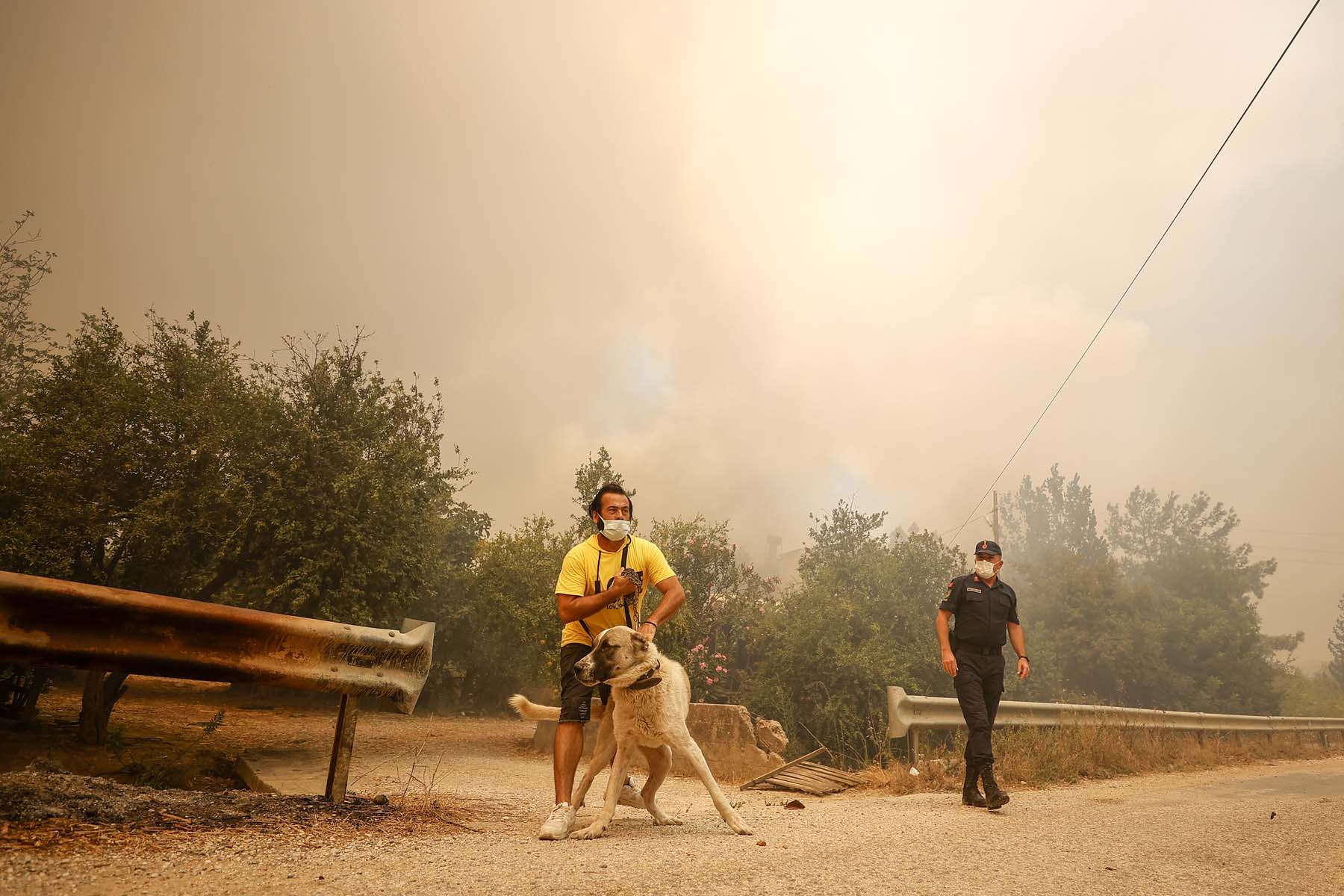 Son dakika | Antalya Manavgat'ta orman yangını! Evler boşaltıldı, ekipler canla başla müdahale ediyor
