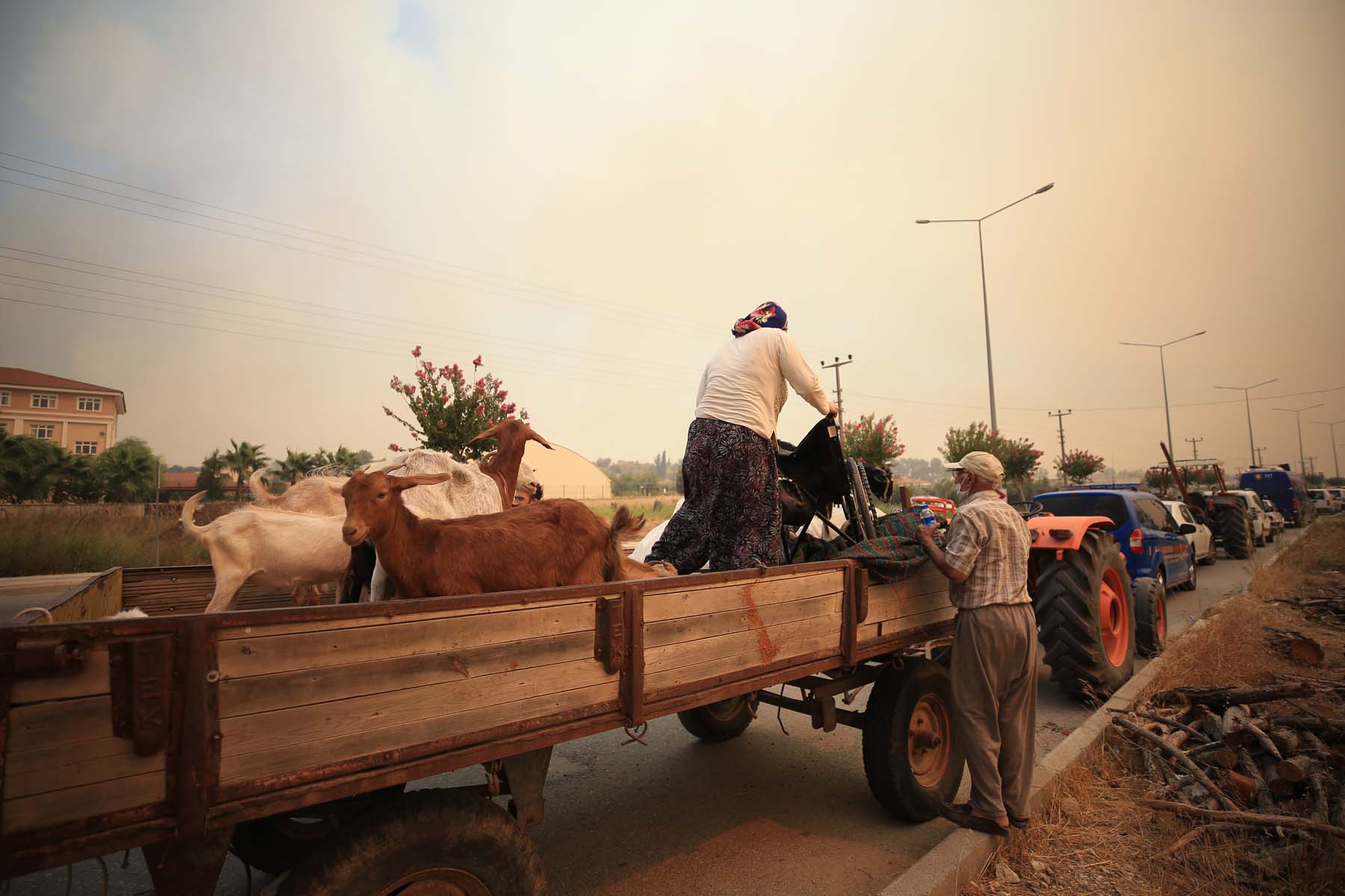 Son dakika | Antalya Manavgat'ta orman yangını! Evler boşaltıldı, ekipler canla başla müdahale ediyor