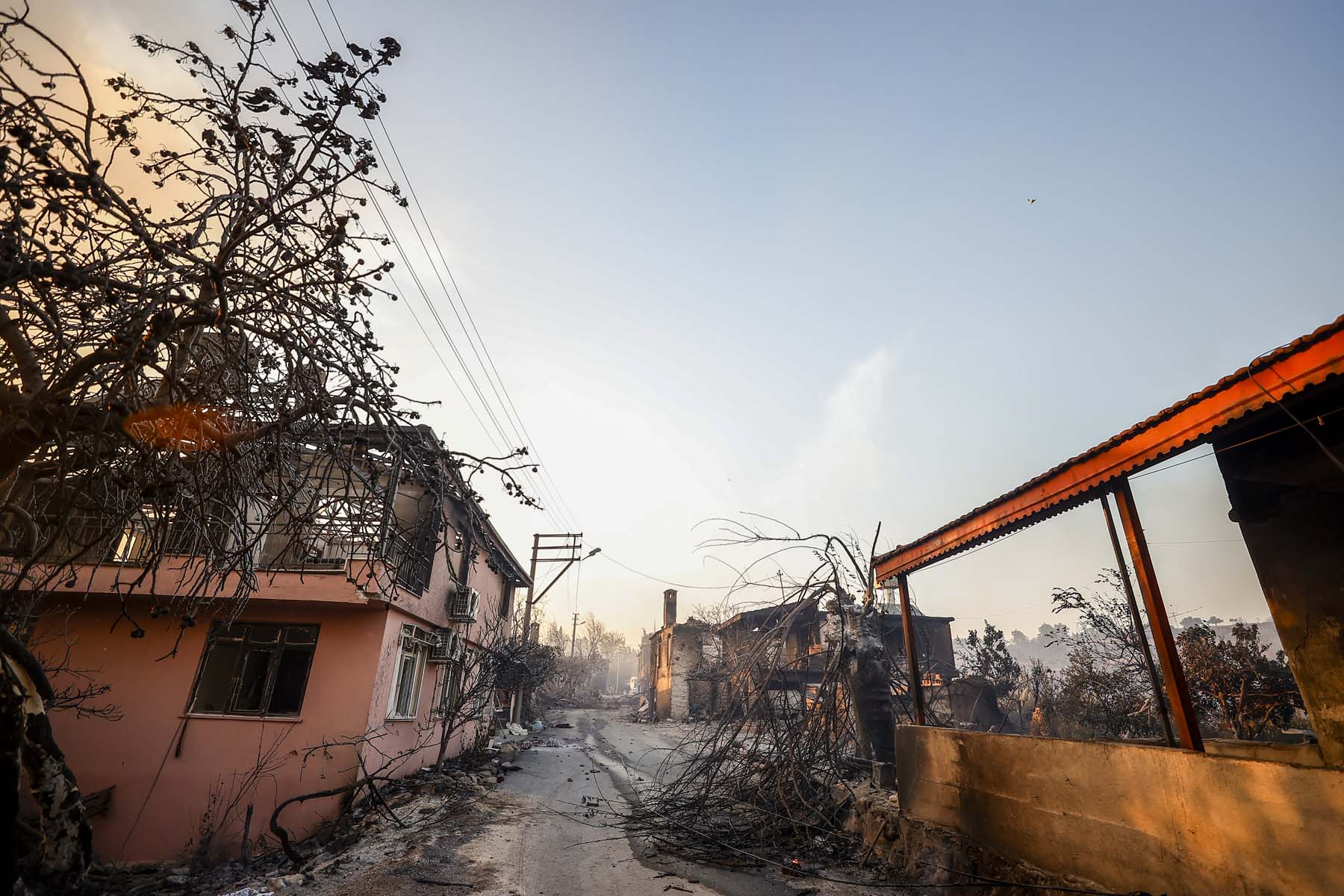 Son dakika | Bakan Pakdemirli ve AFAD acı haberi açıkladı! Manavgat'taki yangında can kaybı 3'e yükseldi