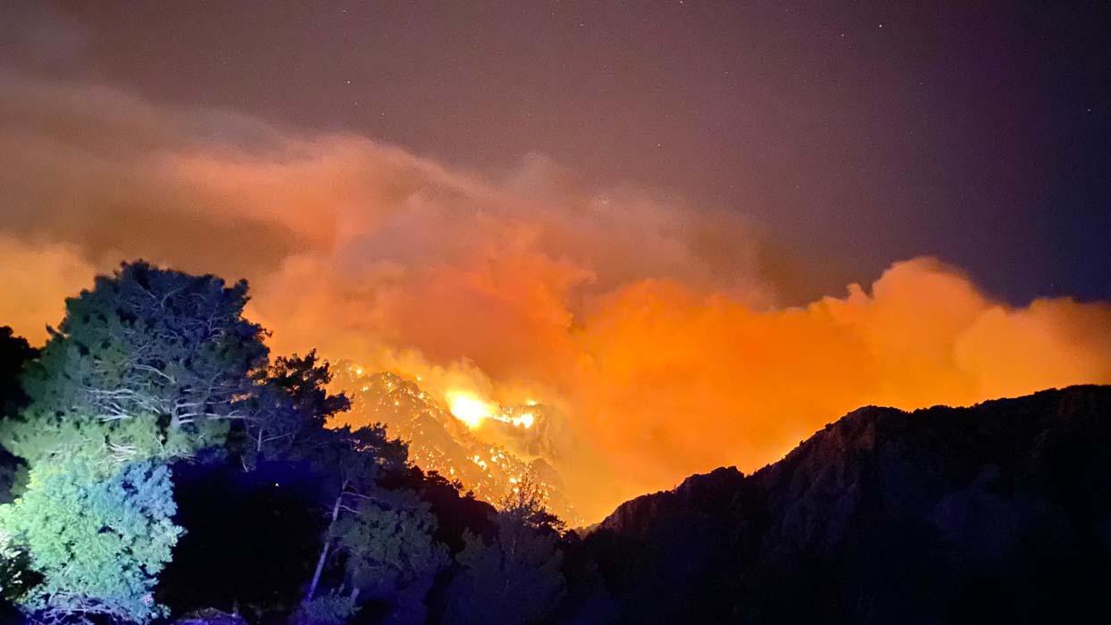 Antalya'da bir orman yangını daha! Akseki alevlere teslim oldu