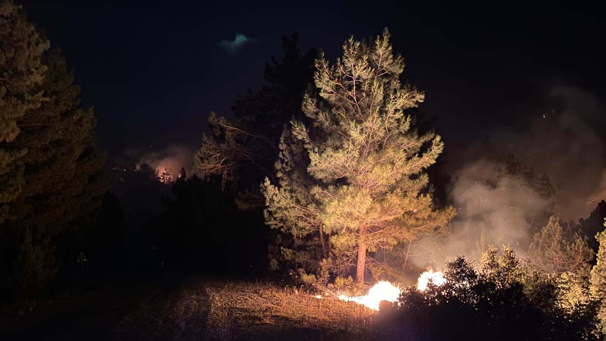 Antalya'da bir orman yangını daha! Akseki alevlere teslim oldu