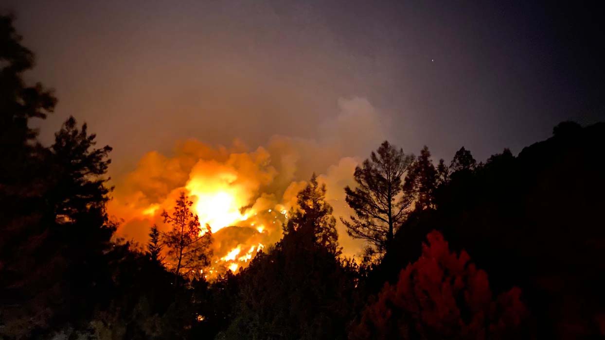Antalya'da bir orman yangını daha! Akseki alevlere teslim oldu