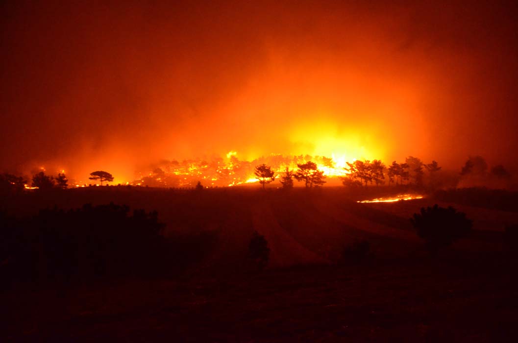 Antalya'da bir orman yangını daha! Akseki alevlere teslim oldu