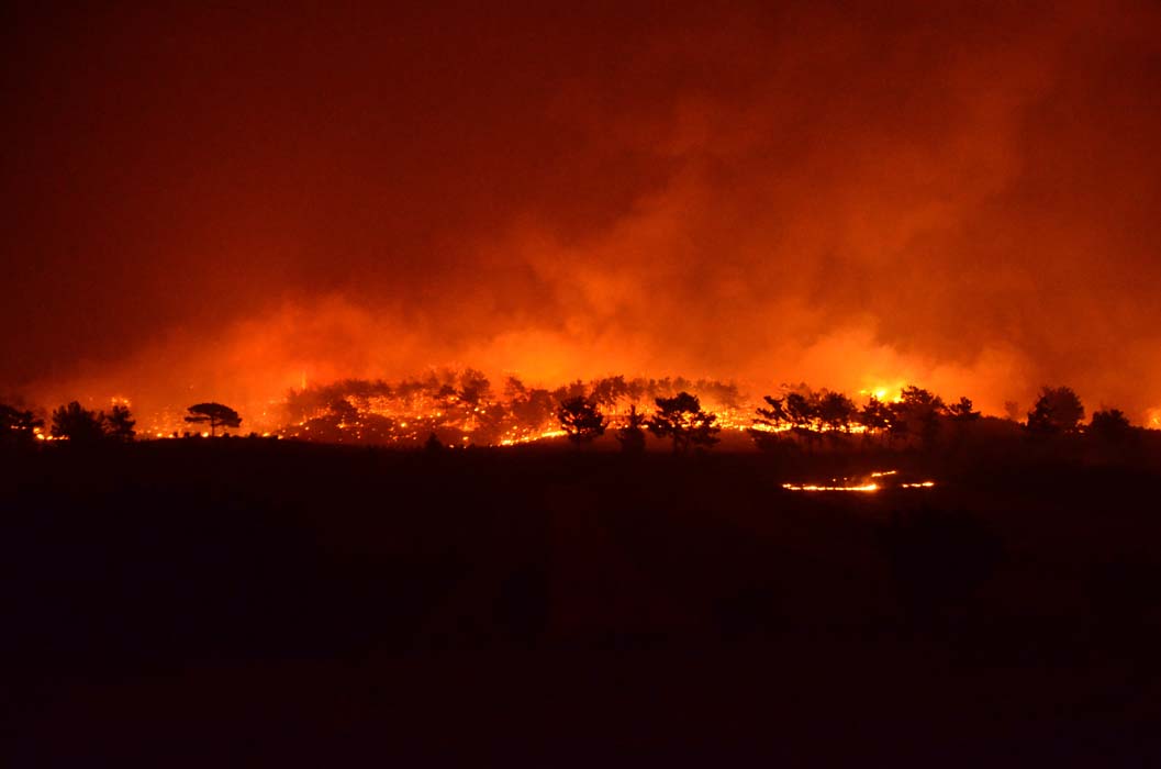 Antalya'da bir orman yangını daha! Akseki alevlere teslim oldu