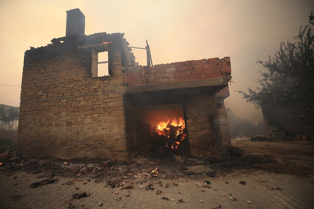 Manavgat'taki yangından ilk acı haber geldi! Bakan Pakdemirli duyurdu