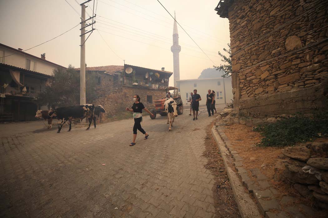 Manavgat'taki yangından ilk acı haber geldi! Bakan Pakdemirli duyurdu