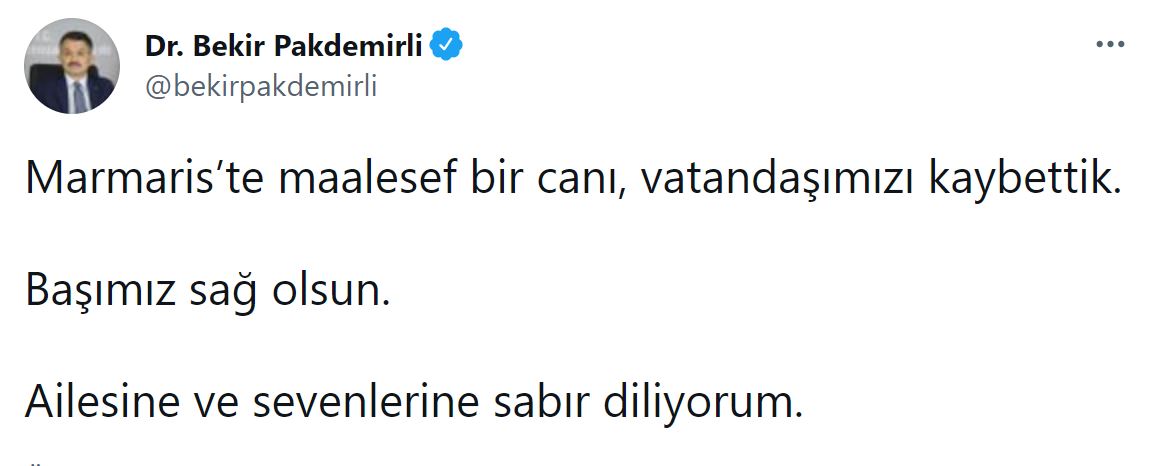 Son dakika | Bakan Pakdemirli duyurdu! Yangından acı haber