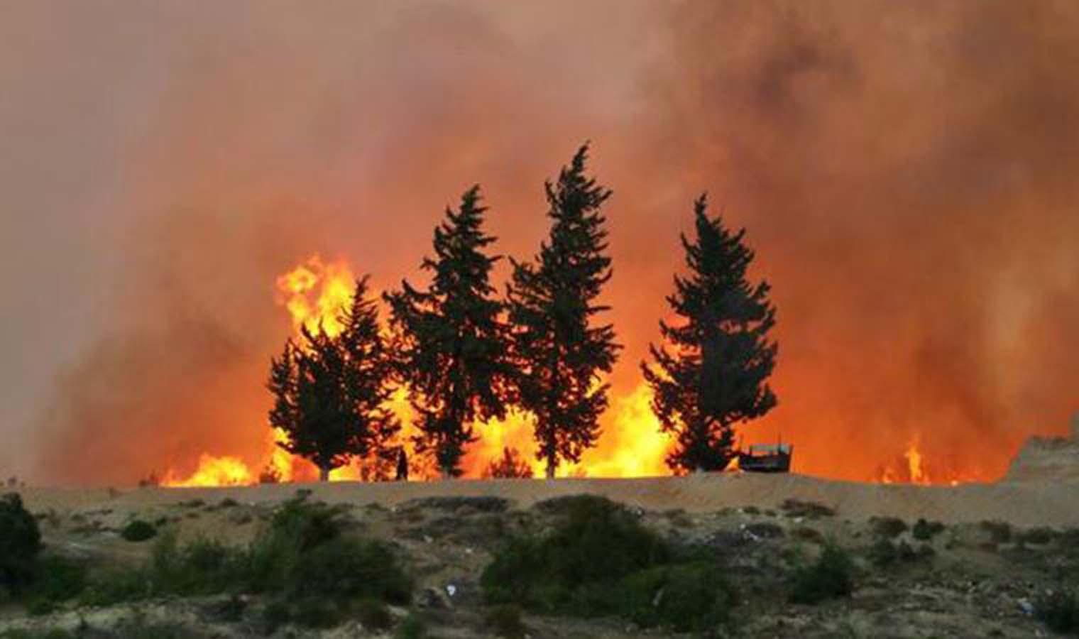 Hangi illerde orman yangını var? | Hangi illerde yangın oldu? Yangınlar neden çıktı?