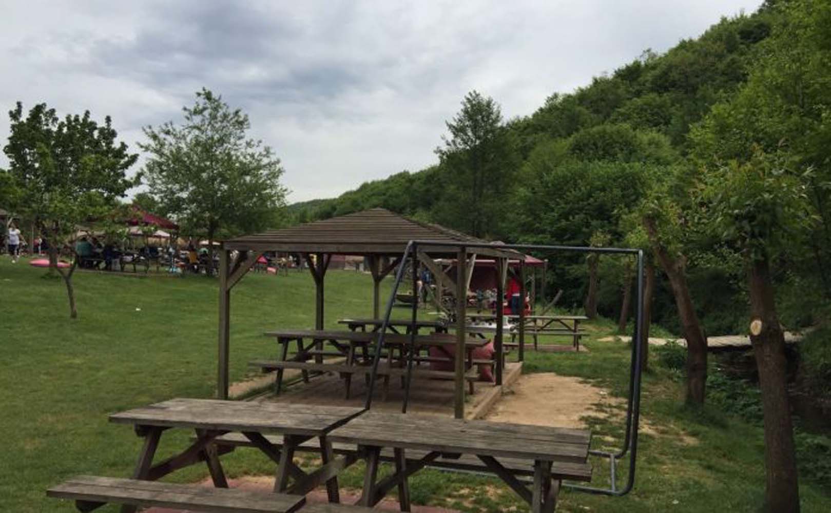 Ormanlara giriş yasak mı, yasaklandı mı? Hangi illerde ormana girmek yasak?