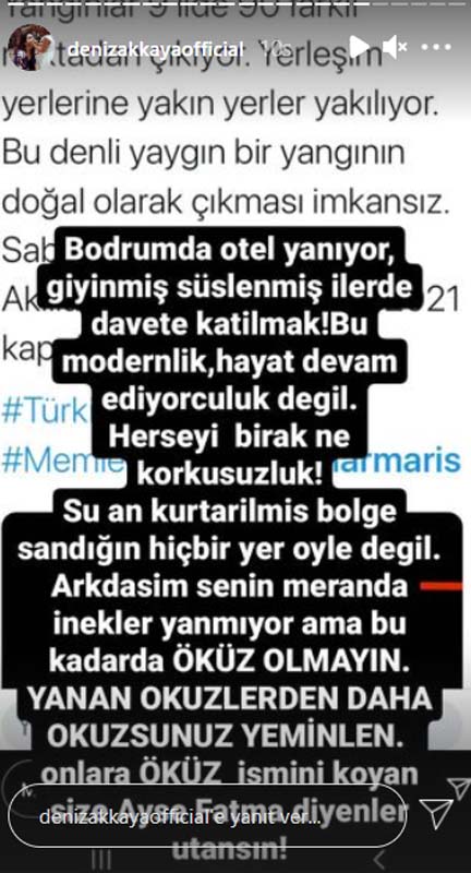 Deniz Akkaya, orman yangınlarına duyarsız kalanlara ateş püskürdü: Yanan öküzlerden daha öküzsünüz