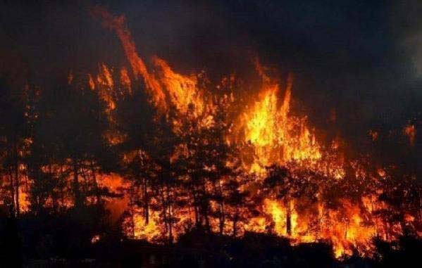 Felaket Karadeniz'e de sıçradı! Samsun'un Vezirköprü ilçesindeki ormanlık alanda yangın çıktı