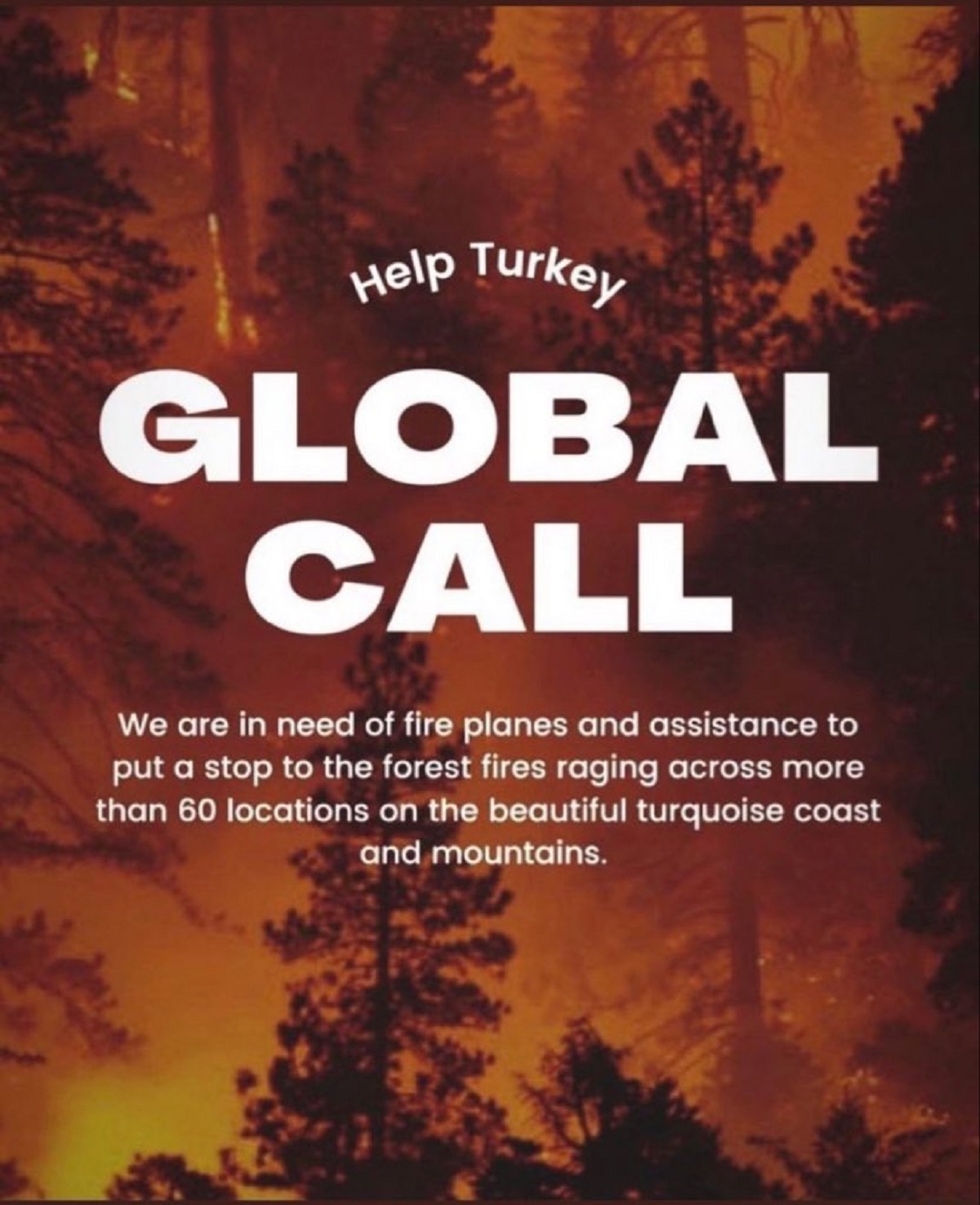 Help Turkey ne demek? | Help Turkey paylaşımlarının nedeni ne? | Global Call nedir?
