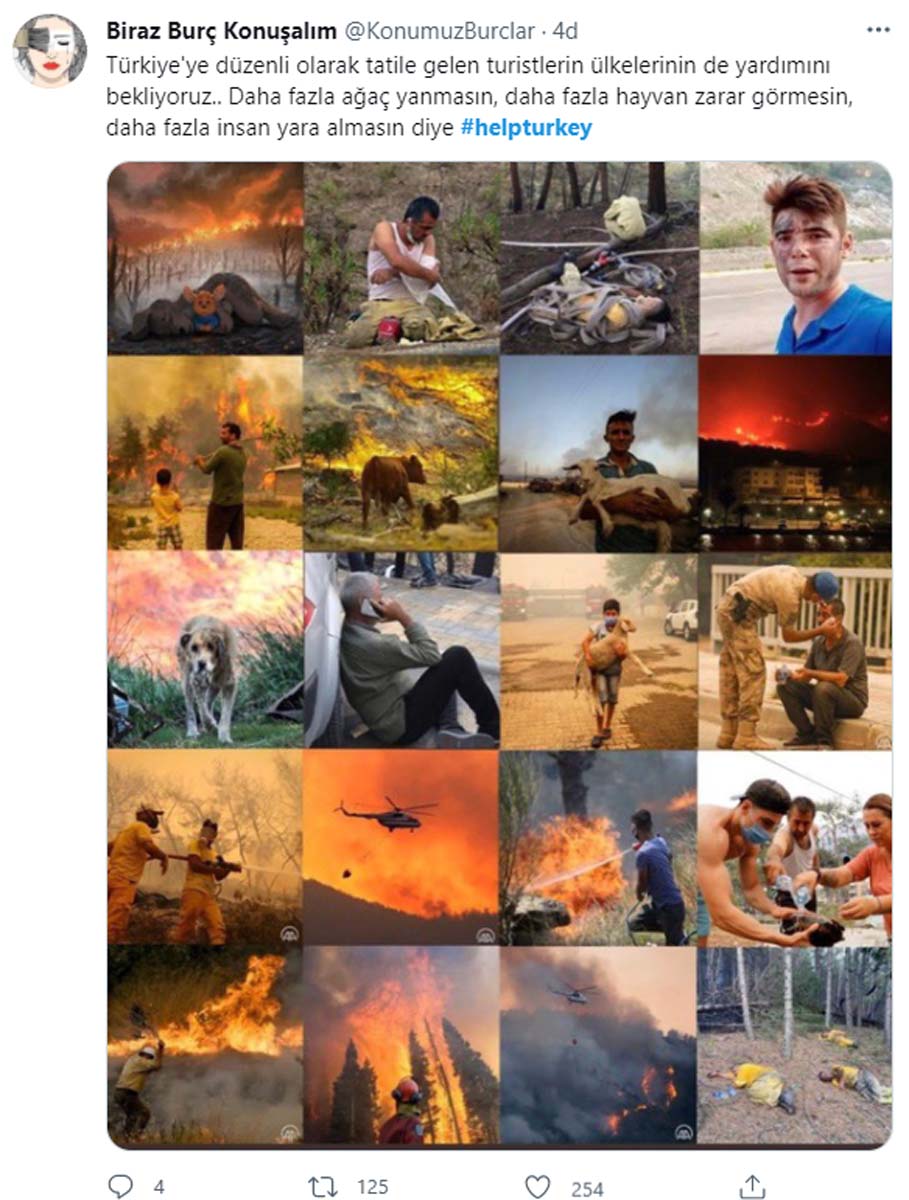 Vatandaşlar orman yangınlarıyla mücadelede destek istiyor! #helpturkey sosyal medyada dünya gündemine girdi 