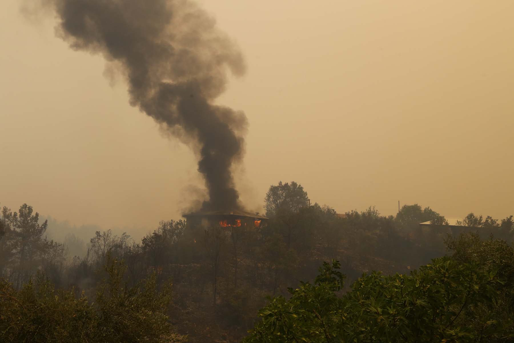 Bakan Kurum, Antalya Manavgat ve Muğla Marmaris'teki son durumu açıkladı! İşte yıkılacak yer sayısı 