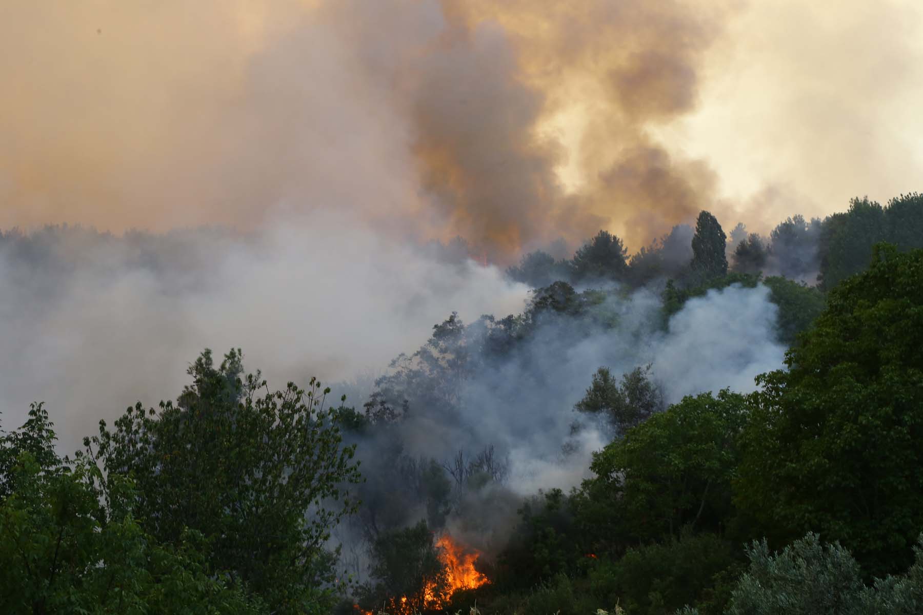 Camilerden anons yapılıyor! Antalya'nın Gündoğmuş ilçesi tahliye ediliyor 