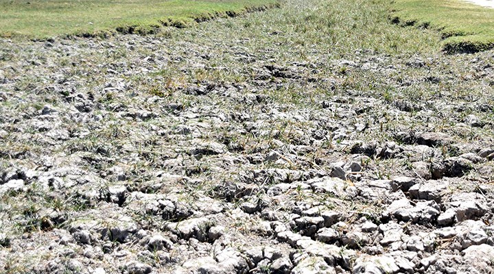 Sıcakların artmasıyla birlikte peş peşe göller kuruyor! Bu kez Yay Göl'ü kurak araziye dönüştü!