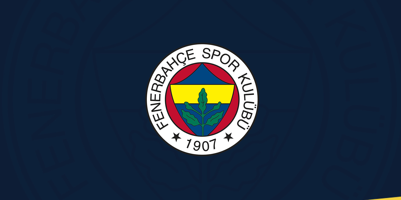 Burak Kapacak kimdir? Nereli ve kaç yaşında? Hangi takımlarda oynadı? | Mevkisi ne? | Burak Kapacak Fenerbahçe'ye mi transfer oldu?