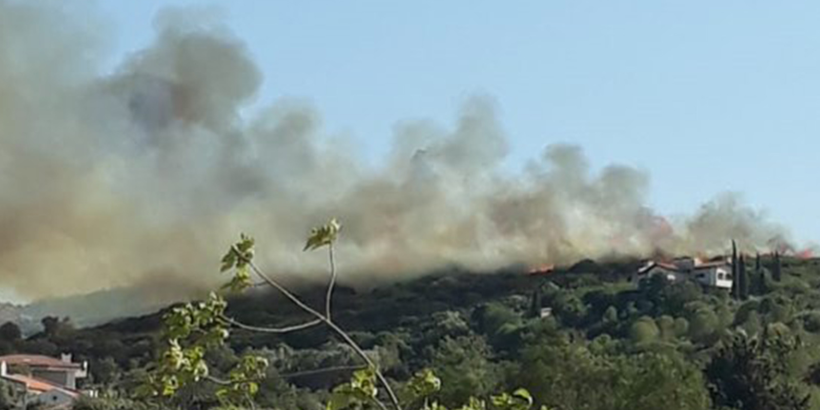 Son dakika | Orman yangınlarına müdahale ederken Muğla'nın Datça ilçesinde yangın!