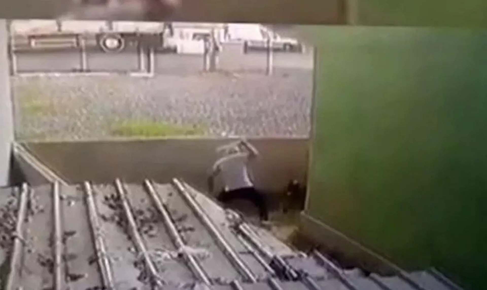 Tavuklarını kovalayan köpeği öldüresiye dövdü! Talihsiz hayvanın kafatasında kırıklar oluştu