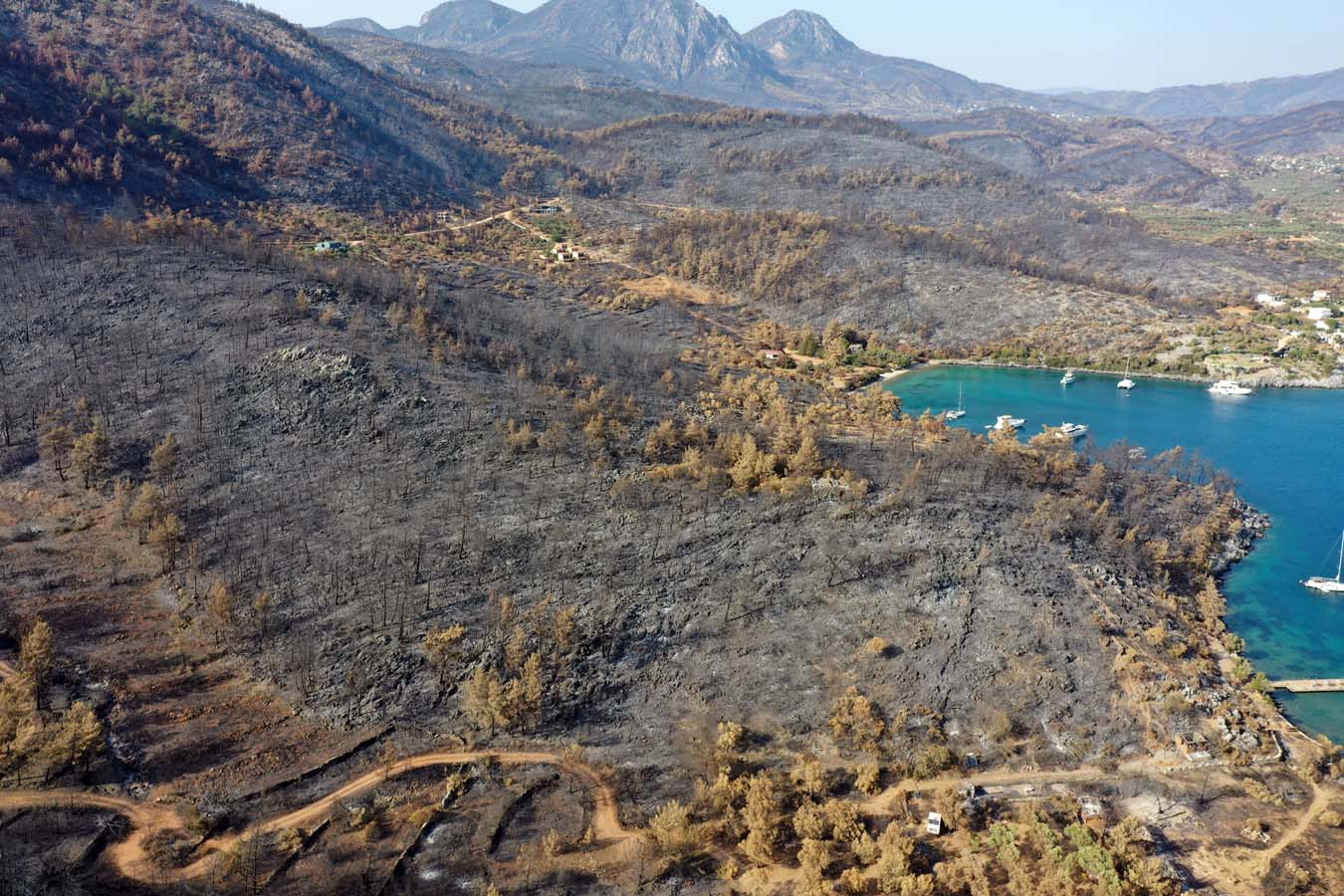 Yatlar ve tekneler Bodrum ve Milas'a geri dönüyor!