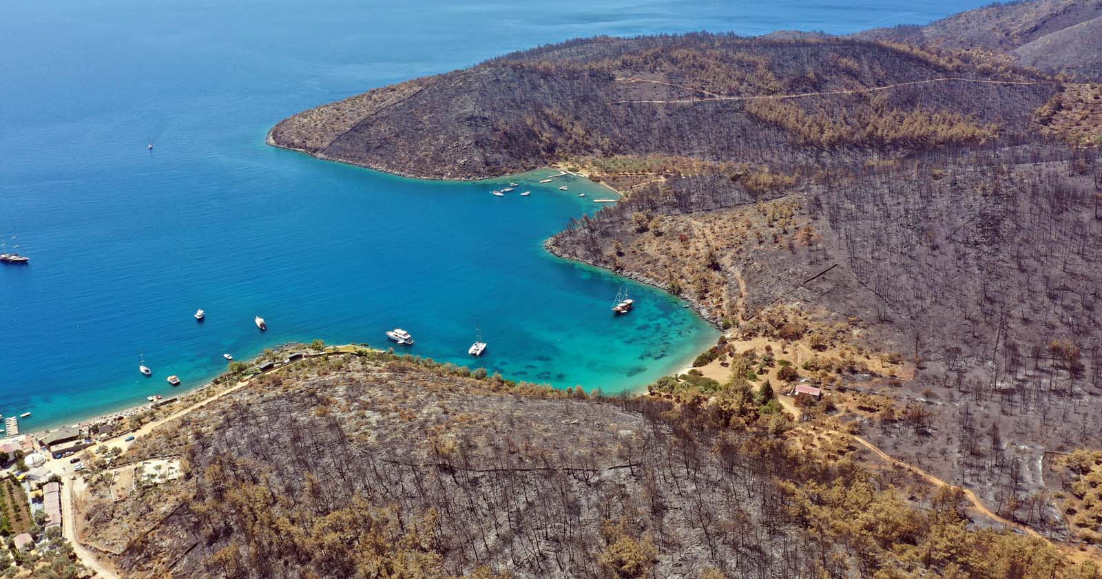 Yatlar ve tekneler Bodrum ve Milas'a geri dönüyor!