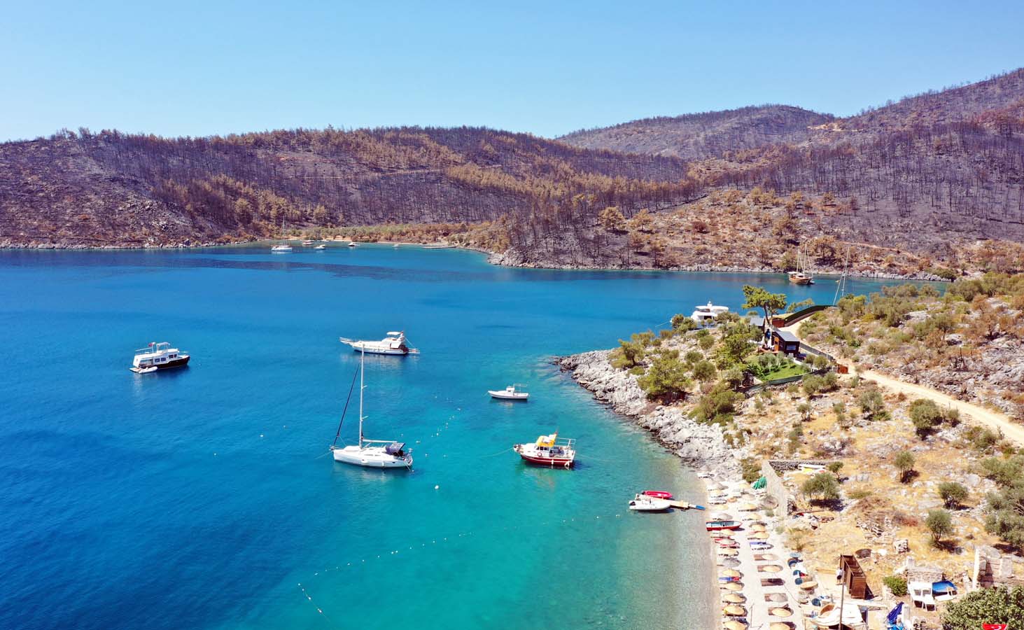 Yatlar ve tekneler Bodrum ve Milas'a geri dönüyor!