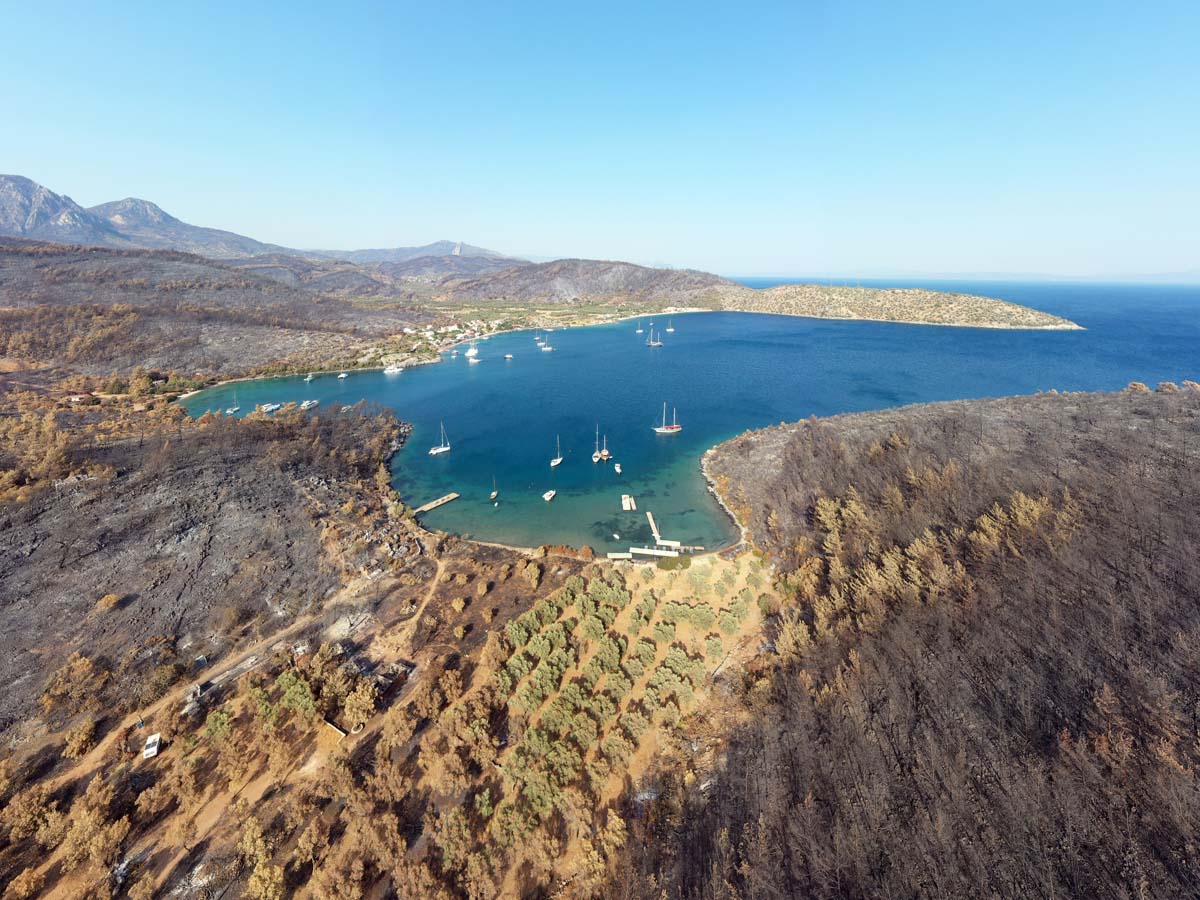 Yatlar ve tekneler Bodrum ve Milas'a geri dönüyor!