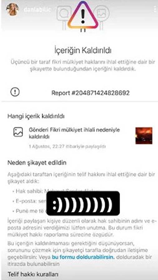 Reynmen ve Danla Bilic aynı yangın paylaşımından telif yedi!