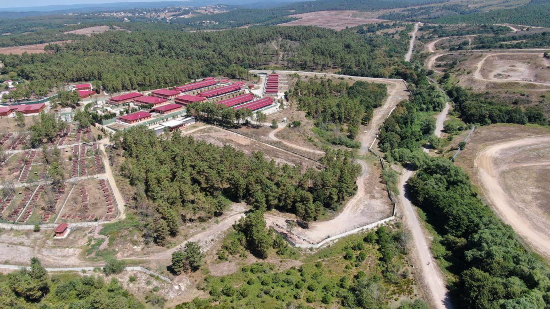 İBB'nin Tuzla'daki hayvan bakımevinde büyük skandal! Telef olmuş hayvanları yakıyorlar, çukurlarda çürümeye bırakıyorlar 