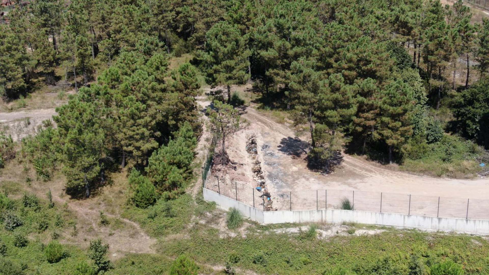 İBB'nin Tuzla'daki hayvan bakımevinde büyük skandal! Telef olmuş hayvanları yakıyorlar, çukurlarda çürümeye bırakıyorlar 