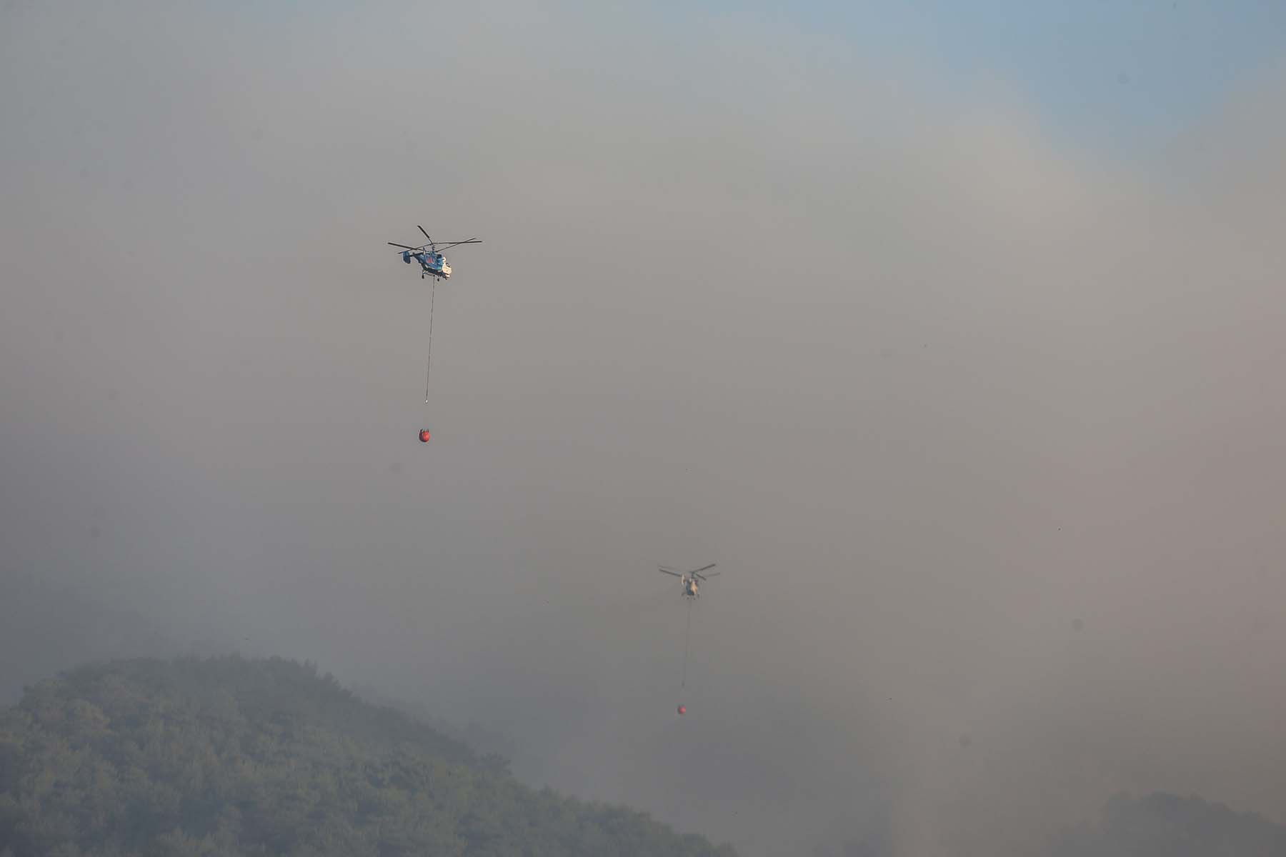 Son dakika | Bakan Pakdemirli duyurdu: Balıkesir Edremit'te çıkan orman yangını kontrol altına alındı