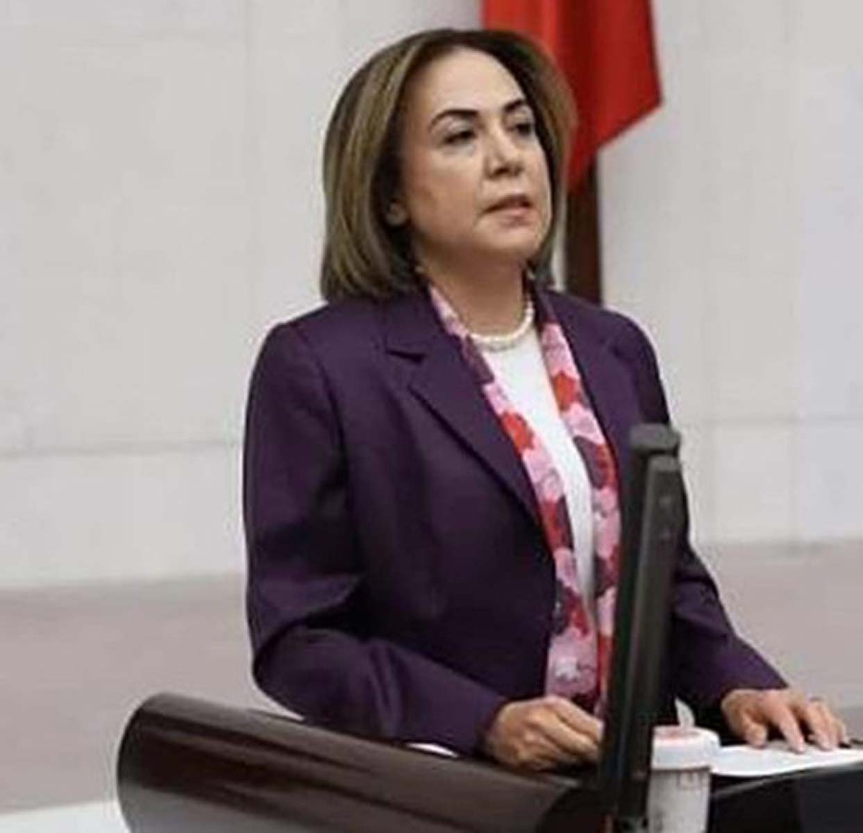 Ahmet Hakan'dan Mersin Milletvekili Av. Zeynep Gül Yılmaz'a eleştiri: Bu milletvekilliğinde ne var acaba? Şairleri bile nobranlaştırıyor