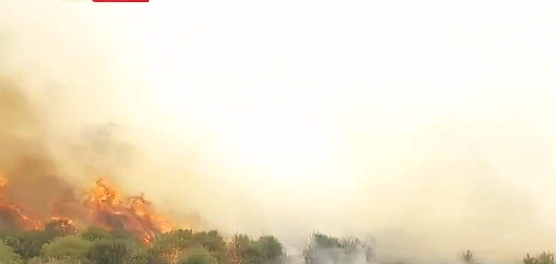 Son dakika | Manisa Kula'daki makilik alanda yangın çıktı! Ekipler müdahale ediyor