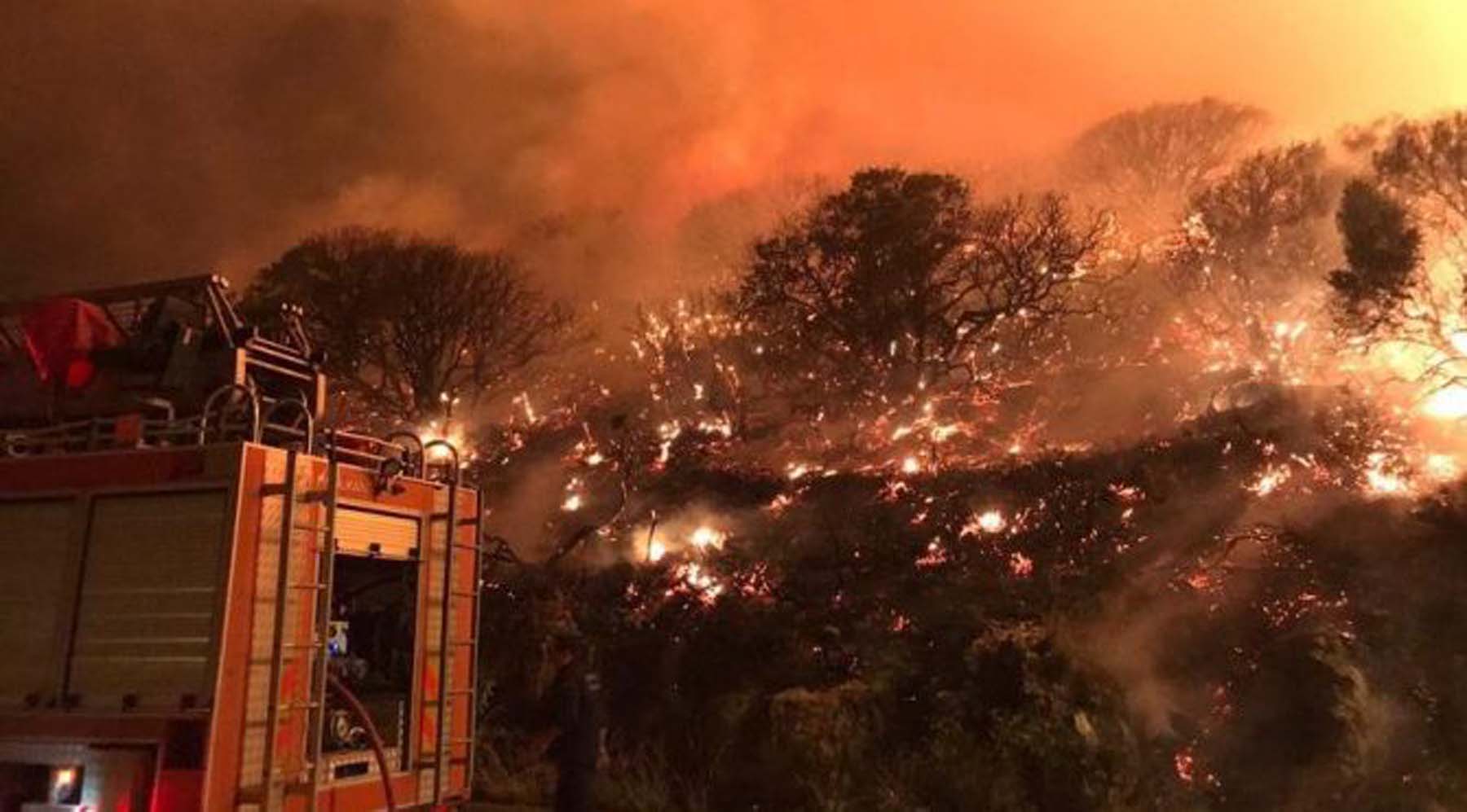 Resmi Gazete duyurdu: Yangın ve sel bölgeleri için acele kamulaştırma!