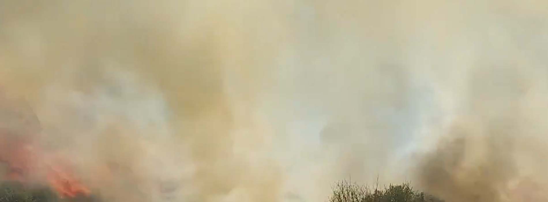 Son dakika | Manisa Kula'daki makilik alanda yangın çıktı! Ekipler müdahale ediyor