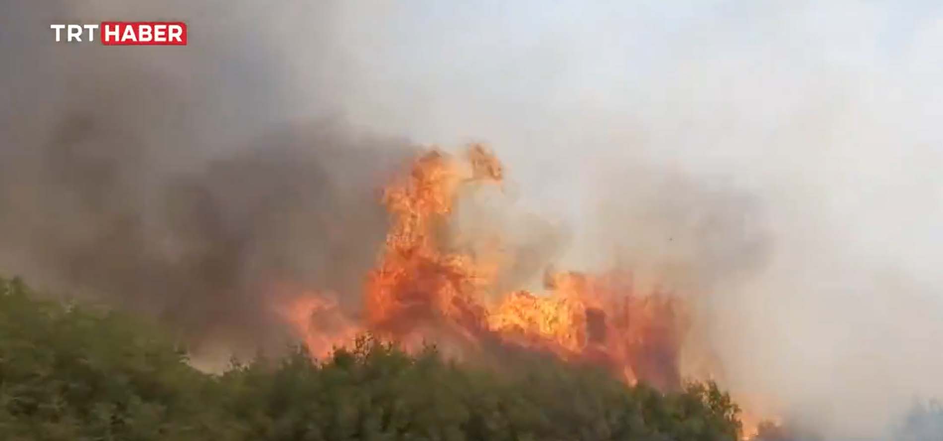 Son dakika | Manisa Kula'daki makilik alanda yangın çıktı! Ekipler müdahale ediyor
