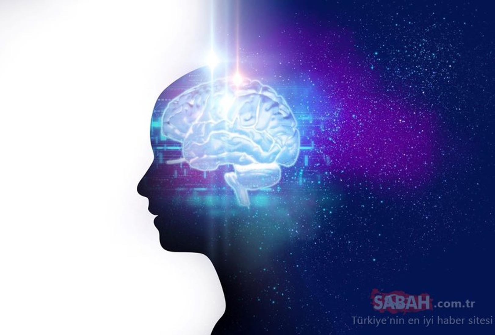 Mucizevi besin ceviz! Tüketildiği anda damarları temizliyor...